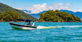 Foto: (iSTOCK/Arkadij Schell)