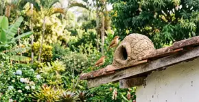 Se você achar um ninho de barro de um joão-de-barro em sua casa ou jardim, nós lhe diremos o que isso significa e por que é algo bom