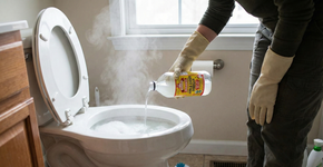 Foto: (Imagem gerada por IA/Gemini)