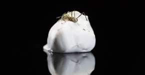 Foto: (Imagem sem texto alternativo disponivel ID [1895394])