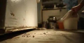 Sua geladeira está chamando baratas para morar com você