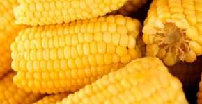 Festa do Milho Verde oferece diversas delícias amarelinhas aos visitantes