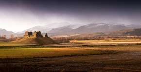 Foto: (JoeDunckley/iStock)