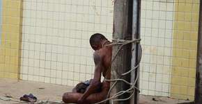 Foto: (Imagem sem texto alternativo disponivel ID [1868555])