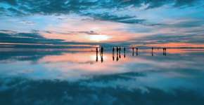 Foto: (Imagem sem texto alternativo disponivel ID [1864364])