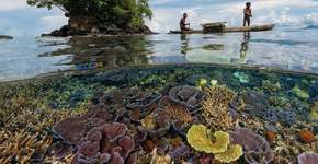 Foto: (Imagem sem texto alternativo disponivel ID [1394323])