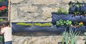 ‘Horta inteligente’ precisa ser regada somente a cada 15 dias