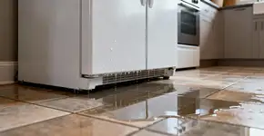 Foto: (Imagem sem texto alternativo disponivel ID [2673539])