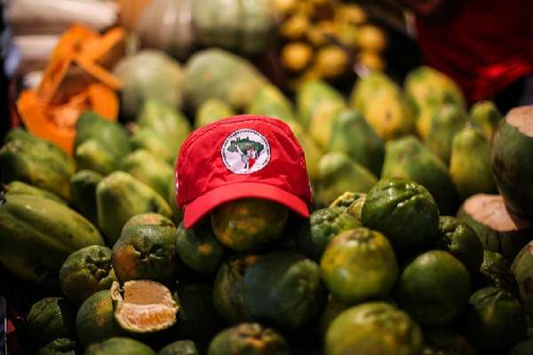 Armazém do Campo terá mais de 400 variedades de produtos vindos da Reforma Agrária