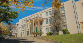 Foto: (Divulgação)