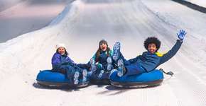 Parque Snowland tem ingresso com 40% de desconto na Black Friday