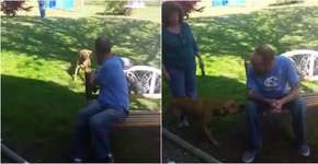 Foto: (Imagem sem texto alternativo disponivel ID [1390745])