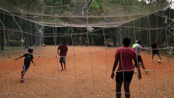 Parque Aclimação - reprodução