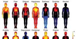 Cientistas mapeiam as emoções no corpo humano
