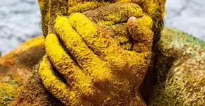 Museu da Diversidade Sexual recebe exposição Tempero da Carne