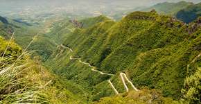 Foto: (Imagem sem texto alternativo disponivel ID [1394290])