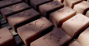 Foto: (Imagem sem texto alternativo disponivel ID [1068810])