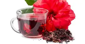 Chá de hibisco emagrece, mas pode prejudicar fertilidade