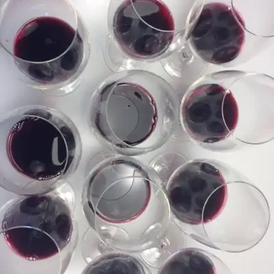 Os vinhos são então engarrafados e etiquetados. Saúde!