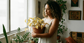 Foto: (Imagem sem texto alternativo disponivel ID [2744620])