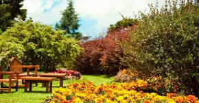 Foto: (Divulgação)