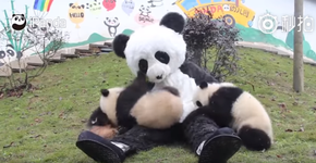 Foto: (Imagem sem texto alternativo disponivel ID [1467798])