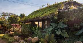 Foto: (Imagem sem texto alternativo disponivel ID [1851495])