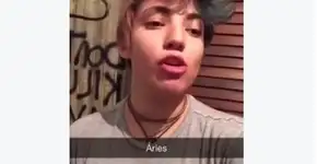 Como seria a namorada ou o namorado de cada signo