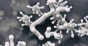 Foto: (Getty Images)