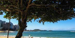 Foto: (OrleiJr/iStock)