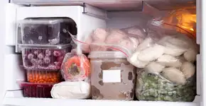 ‘Robô’ no Facebook ajuda a combater o desperdício de alimento