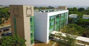 Foto: (Divulgação)