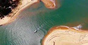 Foto: (Cristian Lourenço/iStock)