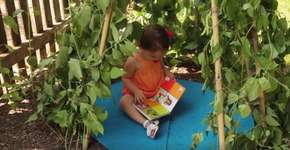 Foto: (Imagem sem texto alternativo disponivel ID [1614064])