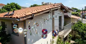 O melhor truque caseiro para espantar pombos do telhado ou do jardim