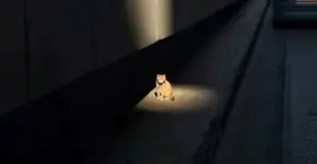 Foto: (Imagem sem texto alternativo disponivel ID [1182831])