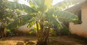 Foto: (Imagem sem texto alternativo disponivel ID [2718026])