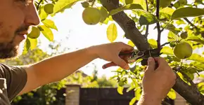 Foto: (Imagem sem texto alternativo disponivel ID [2705884])