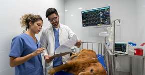 Foto: (Istock/andresr)