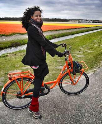 Nos campos de Tulipas em Lisse, Holanda