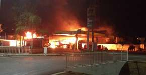 Foto: (Imagem sem texto alternativo disponivel ID [1675493])