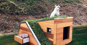 Casa de cachorro com telhado verde é projetada na Califórnia