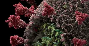 Modelo mais preciso do coronavírus é criado em 3D; assista