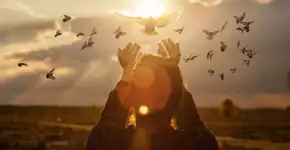 Foto: (Imagem sem texto alternativo disponivel ID [2701837])