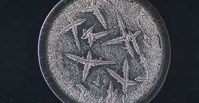 Foto: (Imagem sem texto alternativo disponivel ID [1833835])