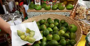 Foto: (Foto: Divulgação.)