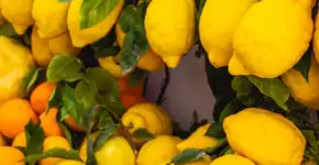 Limão siciliano ajudar evitar pedras nos rins