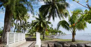 Foto: (Istock/MaFelipe)