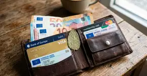 Carregar uma folha de hortelã na carteira: por que muitos recomendam