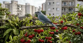 Foto: (Imagem sem texto alternativo disponivel ID [2756051])